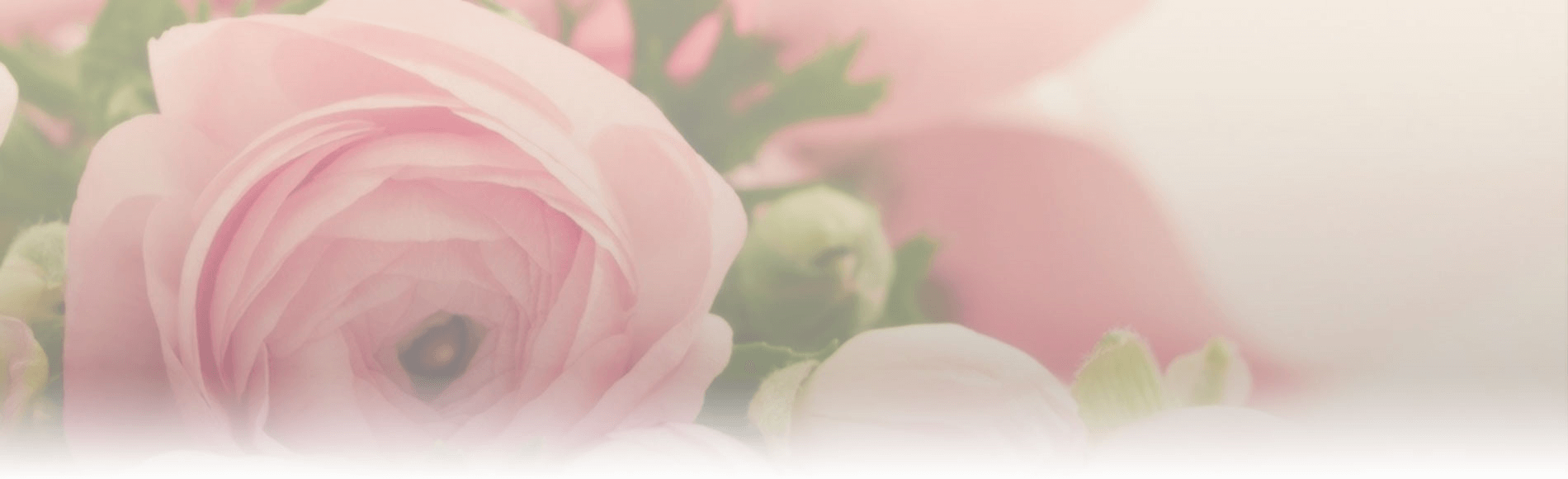 Iライン医療脱毛料金