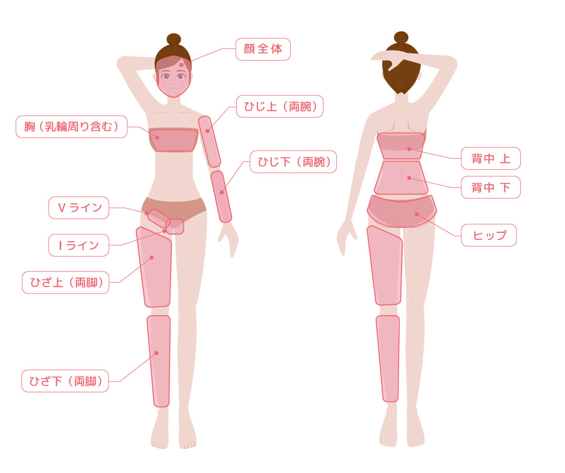 セレクトコースMパーツ